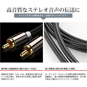VISION オーディオケーブル 2RCA t...の詳細画像2