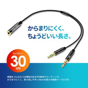 VISION 変換ケーブル 4極 メス to ...の詳細画像5