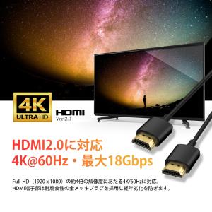 VISION HDMI to HDMI カール...の詳細画像2