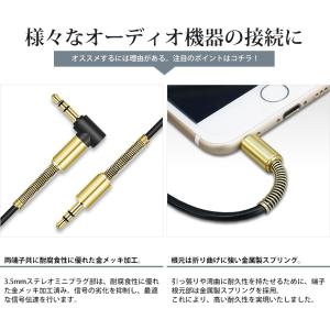 VISION カールコード オーディオケーブル...の詳細画像2