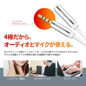 VISION オーディオ 延長ケーブル 延長コ...の詳細画像2
