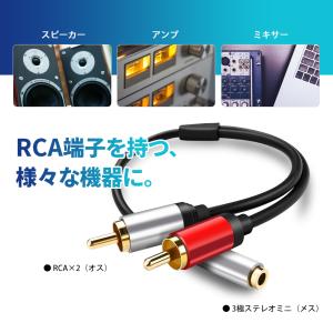 VISION 変換ケーブル 3.5mm ステレ...の詳細画像2
