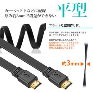 VISION HDMIケーブル フラットケーブ...の詳細画像2