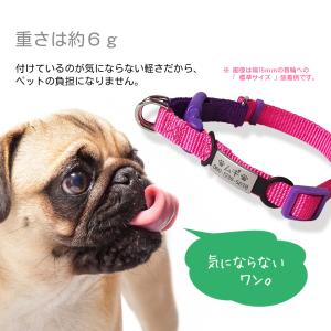 迷子札 超軽量 犬 いぬ 猫 ねこ ネコ ペッ...の詳細画像3