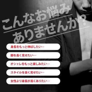 インソール 靴 中敷き 3cm 身長UP シー...の詳細画像1