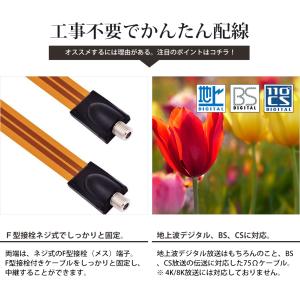 VISION すき間用 アンテナケーブル 中継...の詳細画像2