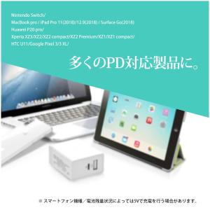 在庫処分 USB充電ケーブル Type-C t...の詳細画像3