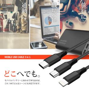 在庫処分 Type-C iphone Micr...の詳細画像3