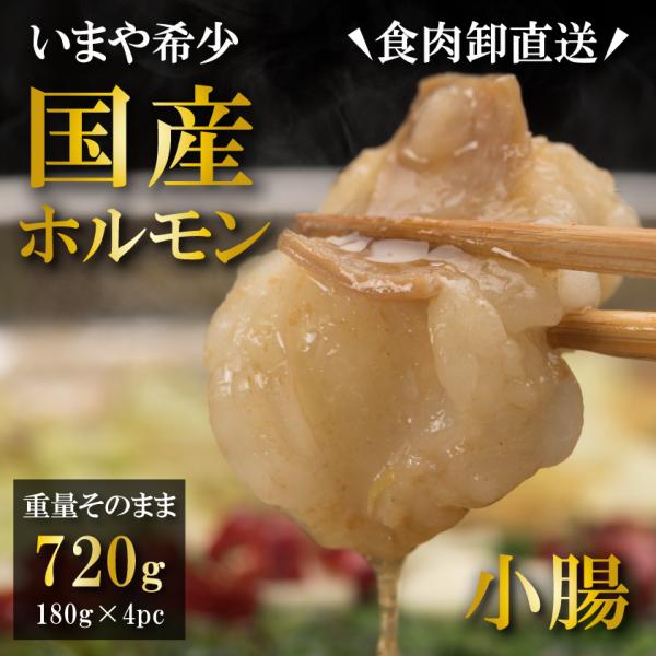 国産牛 小腸 ホルモン OPEN記念セール 720g もつ鍋 ホルモン鍋用 焼肉 冷凍発送 牛肉 ホ...