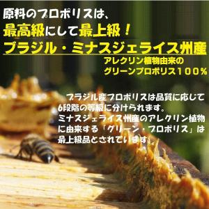ブラジル産 グリーン プロポリス 液体 原液 ...の詳細画像2