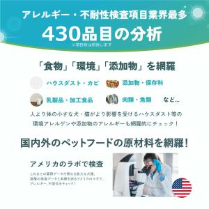 犬・猫用 不耐性・アレルギー体質チェック アレ...の詳細画像4