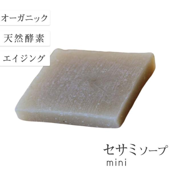 ページが変更になりました ビューティーＷセサミソープ20g