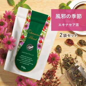 ヴェーダヴィ サラシア＆ジンジャーブレンド30包 自然派化粧品