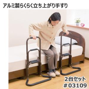 手すり 玄関 おしゃれ 介護用品 アルミ製 らくらく 立ち上がり 手すり 03109