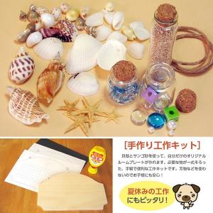 貝殻とサンゴ砂のルームプレート(手作り工作キッ...の詳細画像1