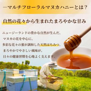 マヌカハニー 100% PURE NEW ZE...の詳細画像1