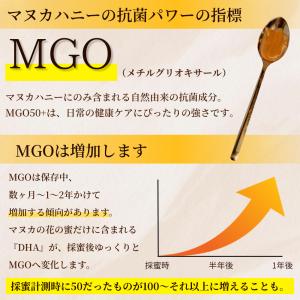 マヌカハニー 100% PURE NEW ZE...の詳細画像4