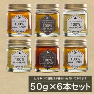 はちみつミニボトルお試しセット　50g×6本セット　プレゼント用としても最適｜beeslabo