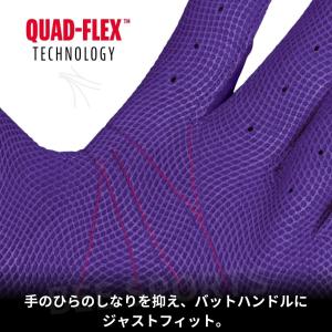 Franklin フランクリン バッティング ...の詳細画像3