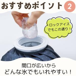 コジット 保冷ケース付き氷のう S M 921...の詳細画像2