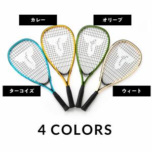 ミニサイズ登場!風の強い日でも遊べる スピード...の詳細画像1