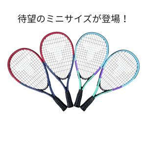 ミニサイズ登場!風の強い日でも遊べる スピード...の詳細画像3