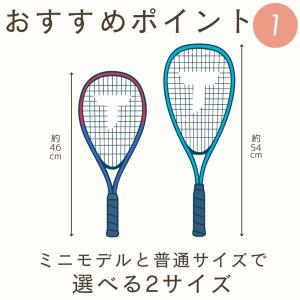 ミニサイズ登場!風の強い日でも遊べる スピード...の詳細画像4
