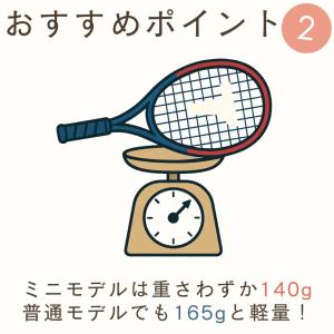 ミニサイズ登場!風の強い日でも遊べる スピード...の詳細画像5