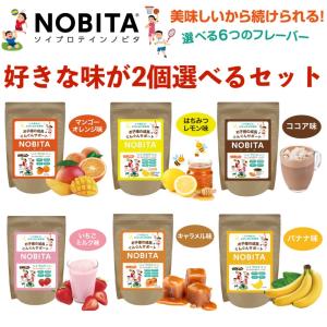 ノビタ NOBITA PRO プロ ソイプロテイン 味が選べる2袋セット