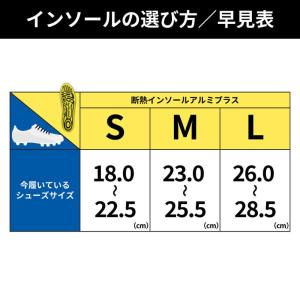 即納 Activital アクティバイタル 断...の詳細画像3