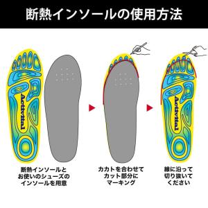 即納 Activital アクティバイタル 断...の詳細画像4