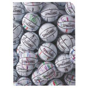 SPALDING スポルディング 15-007WM クリアファイルA4 2枚入り マーブルホワイト