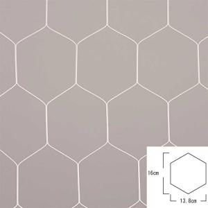 エバニュー サッカーゴールネットの買取情報