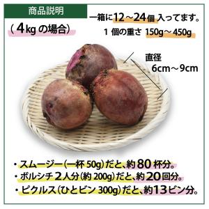 ビーツ 4kg 無農薬 ちえんのうえん 神奈川...の詳細画像2