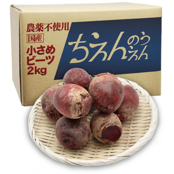 ビーツ２kg 小さめサイズ S規格 無農薬 ちえんのうえん 神奈川県産 農家直送 テーブルビート ビ...