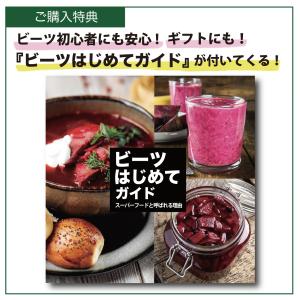 ビーツ 2kg 大きめサイズ L規格 規格外品...の詳細画像3
