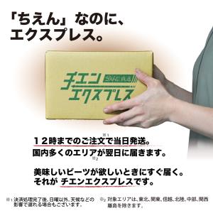 ビーツ 2kg 大きめサイズ L規格 規格外品...の詳細画像5