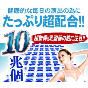 乳酸菌 サプリ ヨーグルト 【送料無料】超スッ...の詳細画像4
