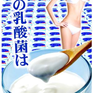 乳酸菌 サプリ ヨーグルト 【送料無料】超スッ...の詳細画像5