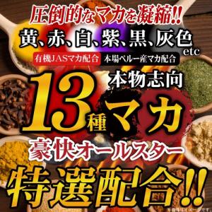 マカ サプリ サプリメント 送料無料 13種マ...の詳細画像2