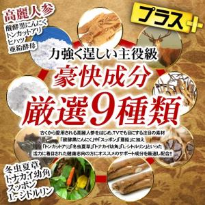 マカ サプリ サプリメント 送料無料 13種マ...の詳細画像3