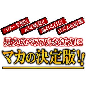 マカ サプリ サプリメント 送料無料 13種マ...の詳細画像5