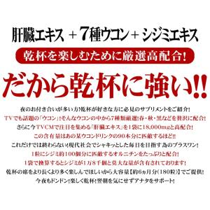 ウコン サプリ 肝臓エキス サプリメント 約6...の詳細画像3