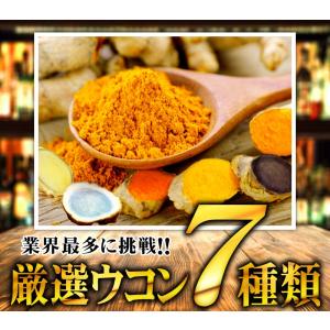 ウコン サプリ 肝臓エキス サプリメント 約6...の詳細画像5