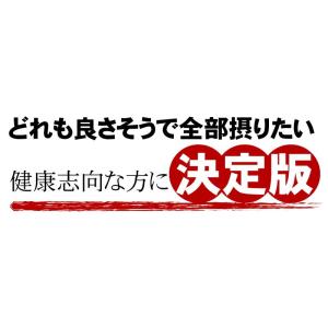 DHA EPA オメガ3 オメガ6 オメガ7 ...の詳細画像2