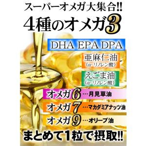 DHA EPA オメガ3 オメガ6 オメガ7 ...の詳細画像4