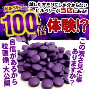 ビルベリー サプリ サプリメント 送料無料 ビ...の詳細画像1
