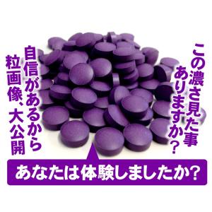 ビルベリー サプリ サプリメント 送料無料 ビ...の詳細画像3