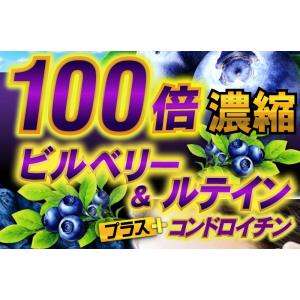 ビルベリー サプリ サプリメント 送料無料 ビ...の詳細画像5