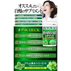 シャンピニオン (約6ヵ月分/360粒)エケッ...の詳細画像5